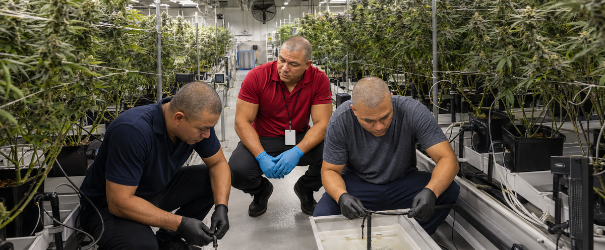 Why work with BiomedRx Medical Marijuana — Hydroponic Cannabis Systems